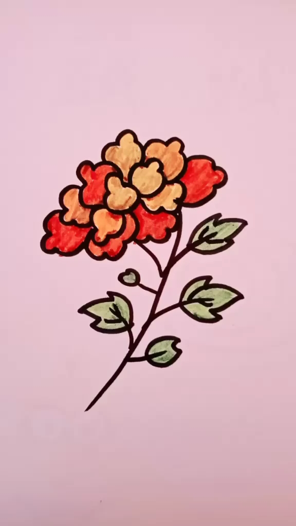 简笔画牡丹花