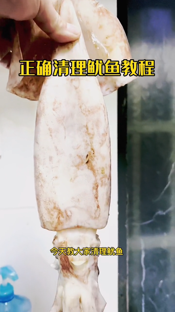 鱿鱼怎么清洗内脏