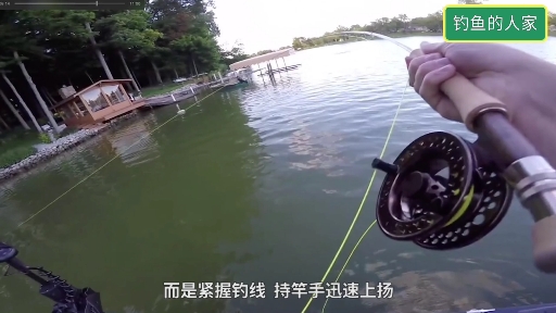 路亚飞蝇钓法,最优美的户外钓鱼方法,是溪流野钓名贵鱼类的钓法