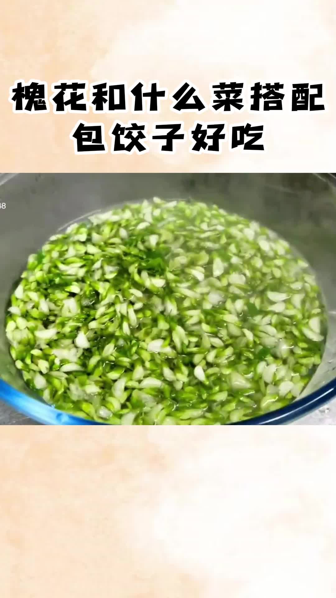 槐花韭菜馅饺子的做法,鲜甜多汁,清甜回甘