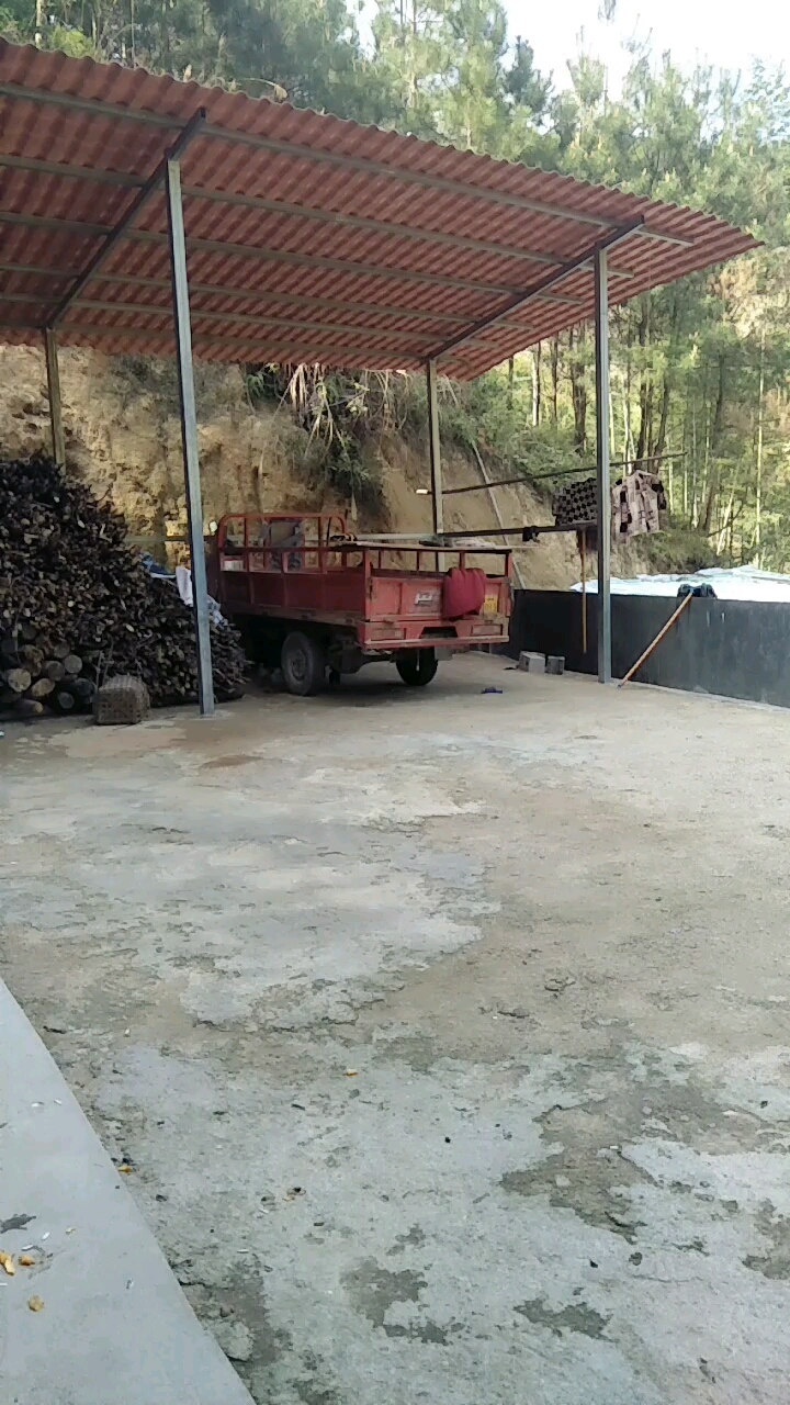 小孩在抓小鸡,真玩皮