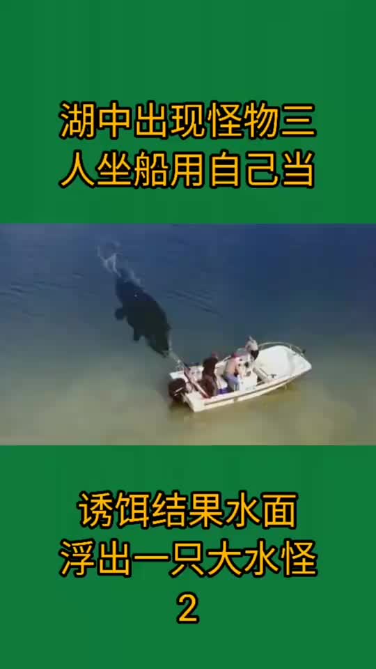 这个鳄鱼太大了,一下就把船给顶翻了