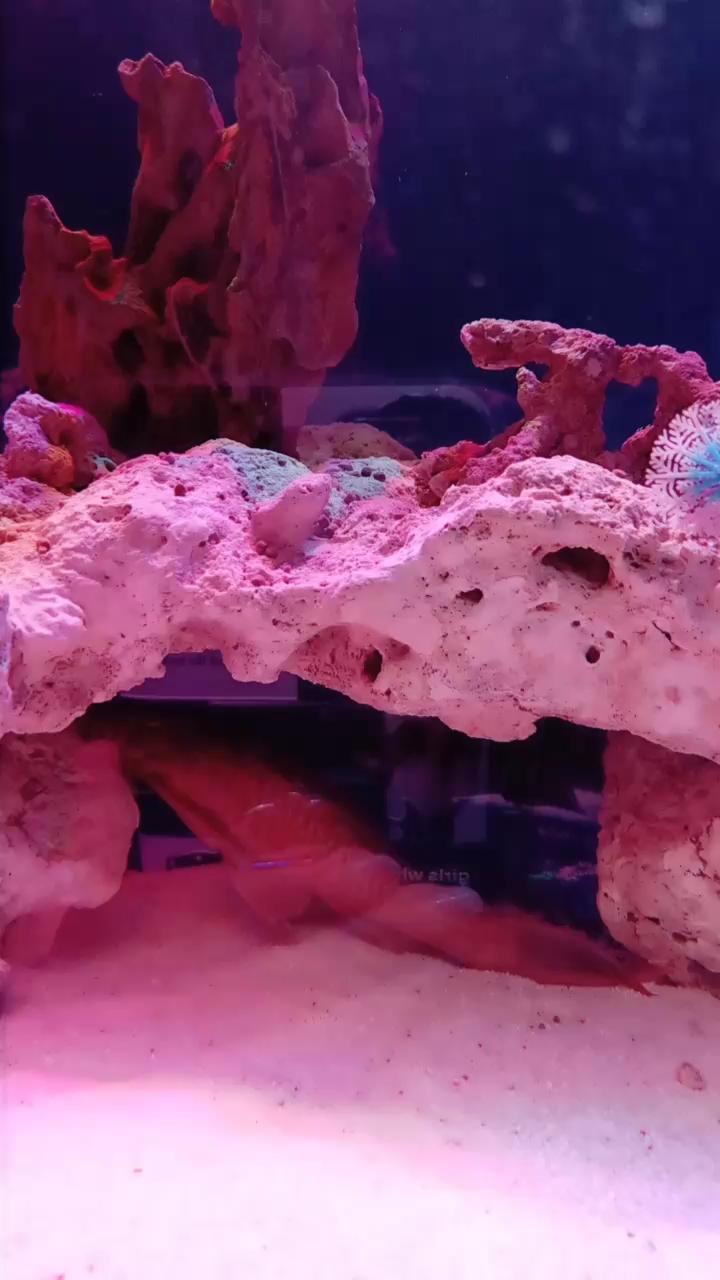 分享视频