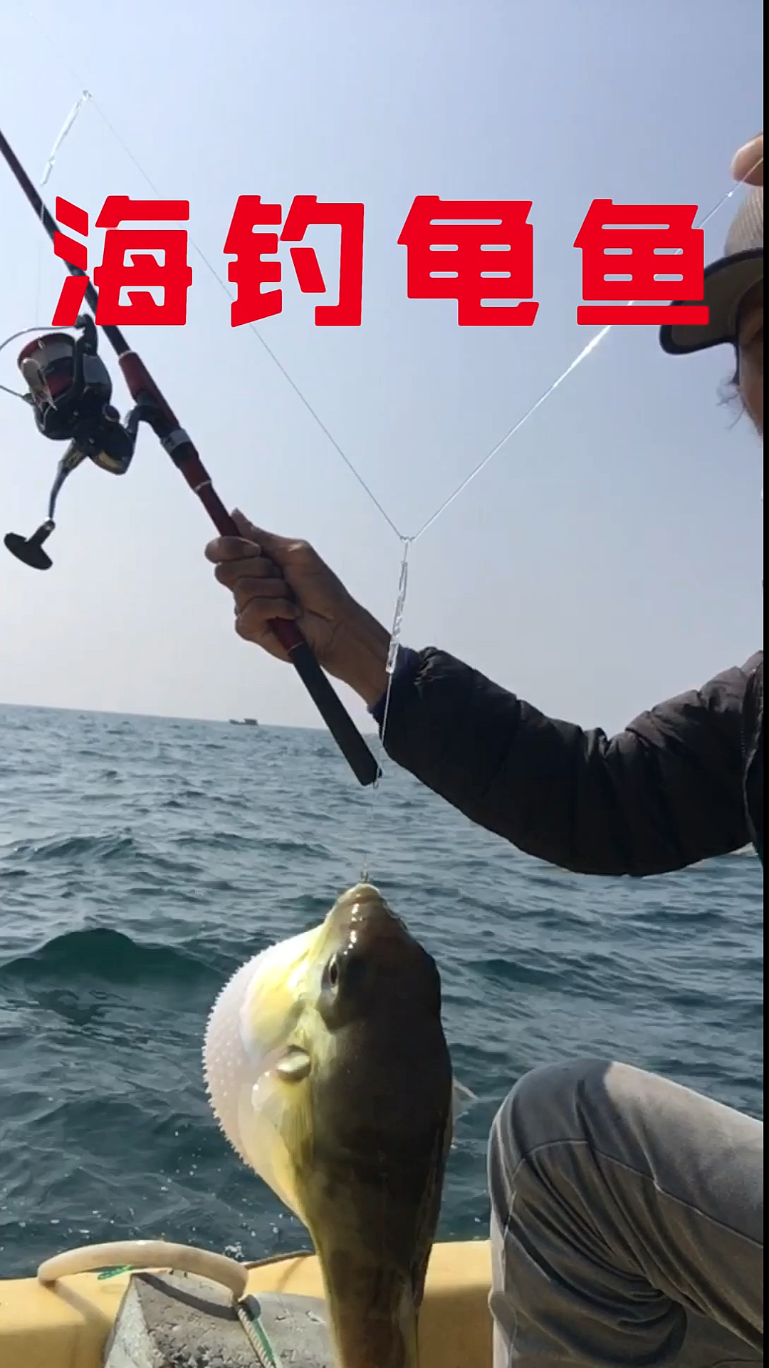 钓龟鱼,体验不一样的海约