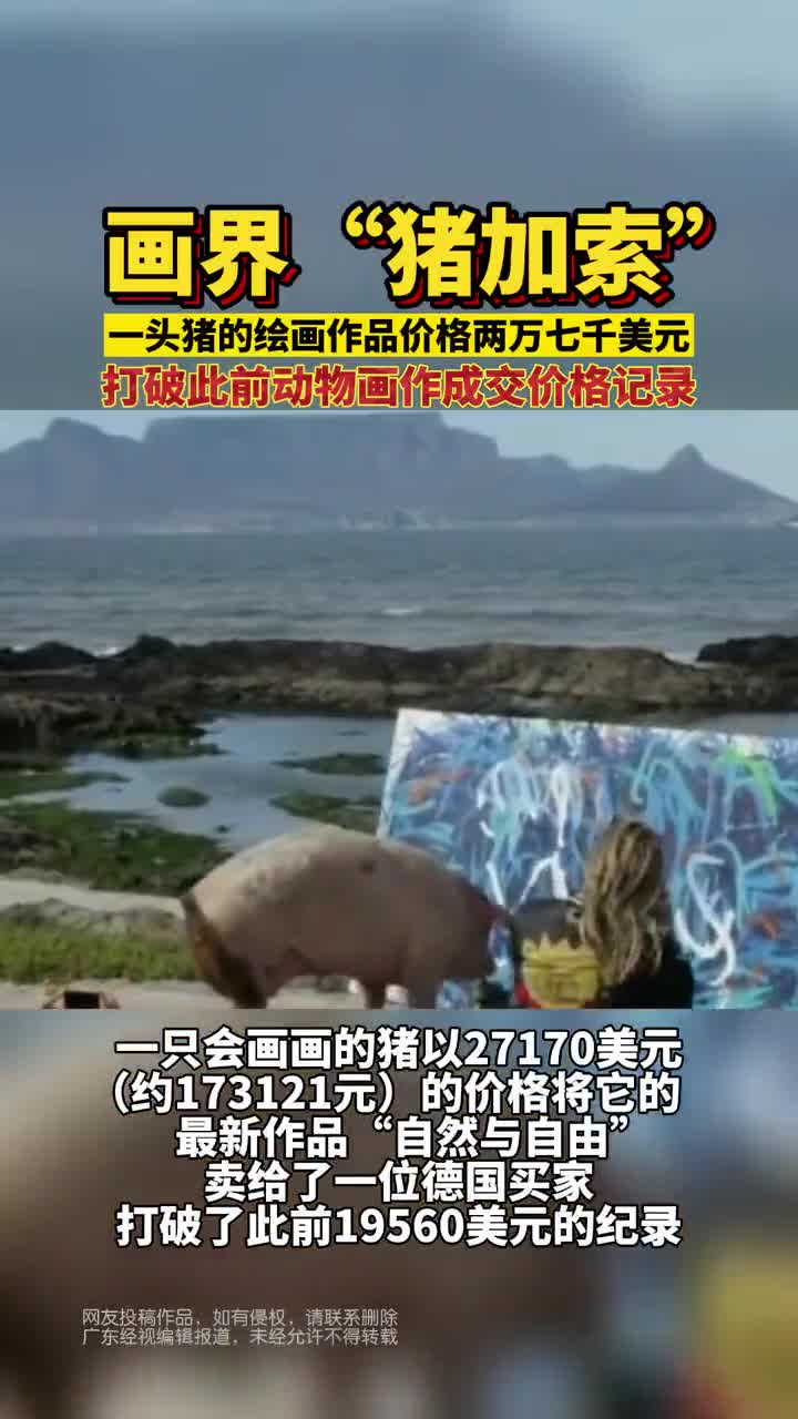 猪界大画家,一头猪的画作达成两万七千美元成交价格,打破此前动物作画最高价格记录