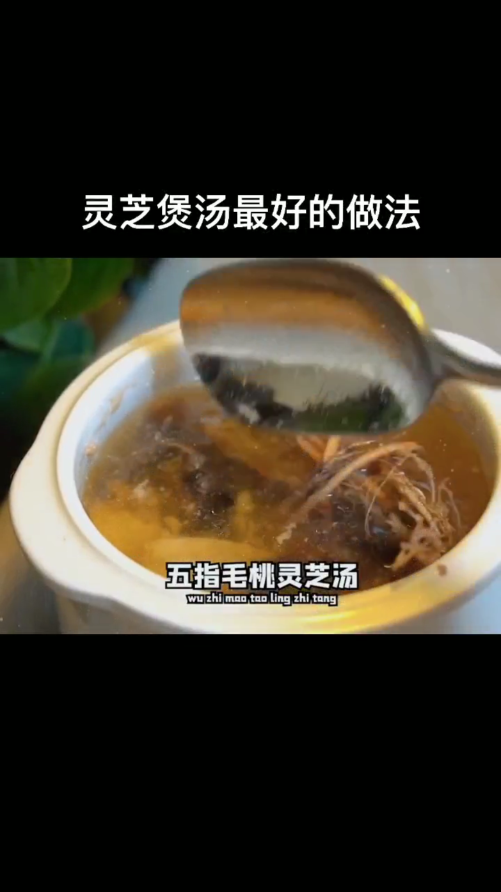 灵芝煲汤最好的做法