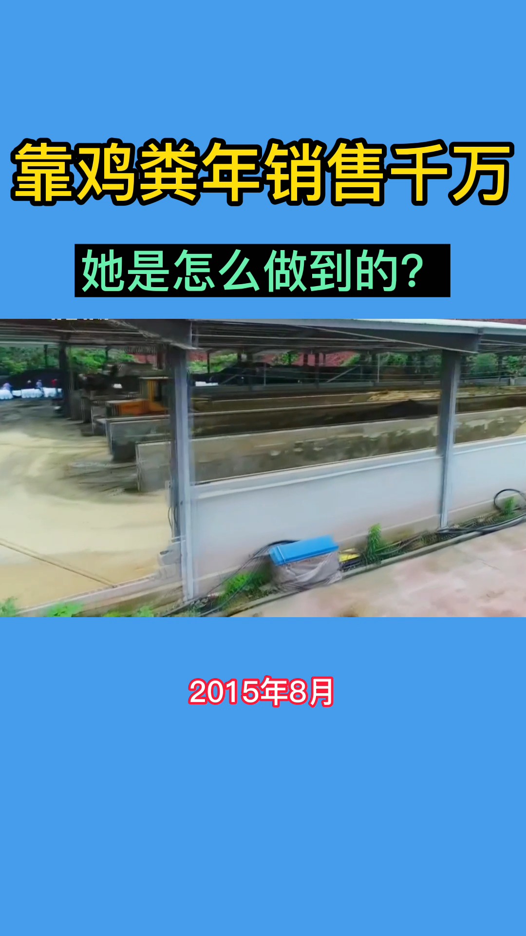 #全民小剧场#如何靠鸡粪年销售千万#有机肥