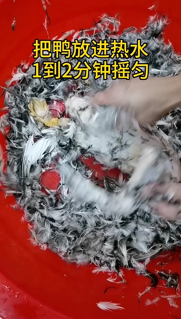 #带上全民去旅行#