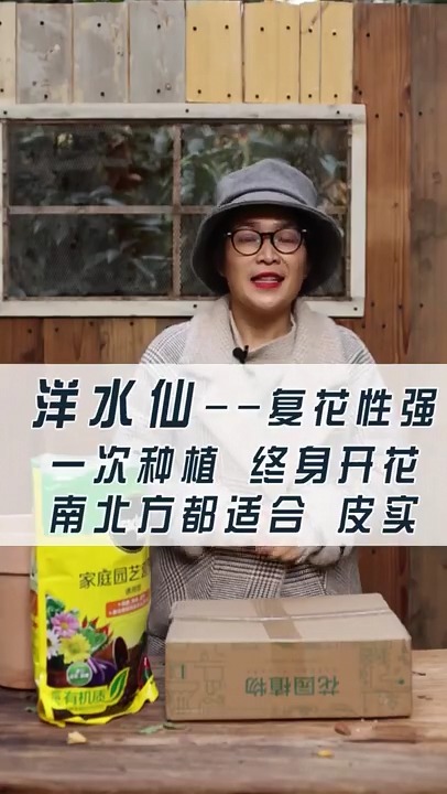 一次种植终身开花,适合新手的球根