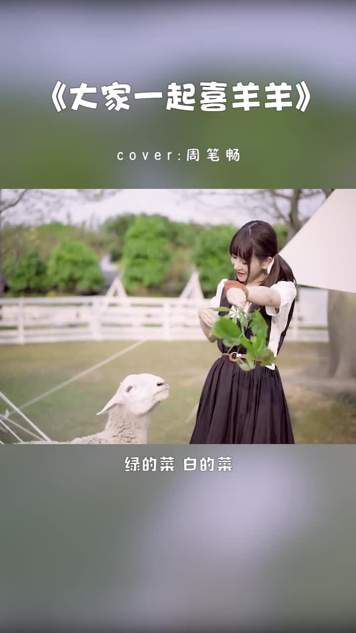 这才是猛男该听的音乐,老板给我来一份大白菜鸡,再整一个羊腰子