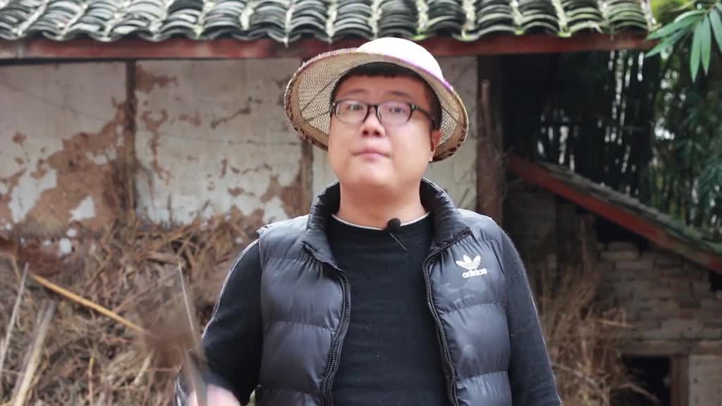 元买一只土鸡做一份板栗烧鸡板栗香甜鸡肉鲜美过瘾