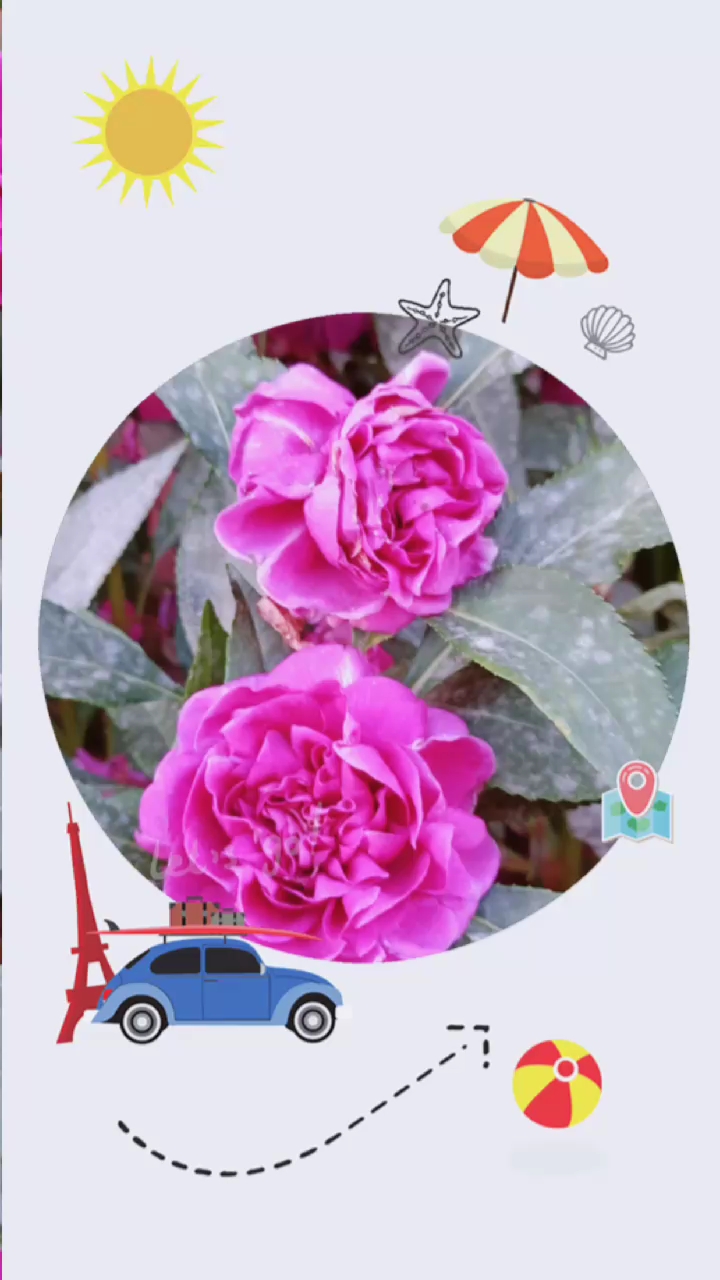芨芨草花(=^▽^=)