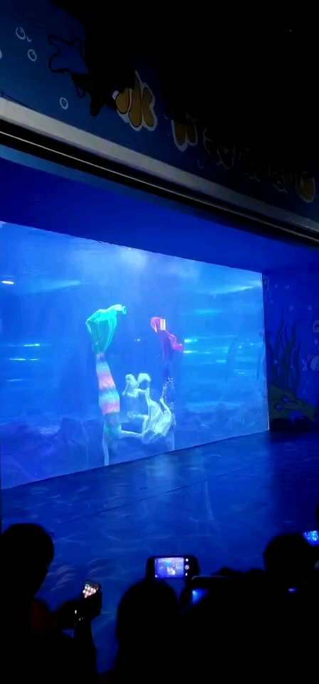 #全民皆舞#海洋世界里的美人鱼