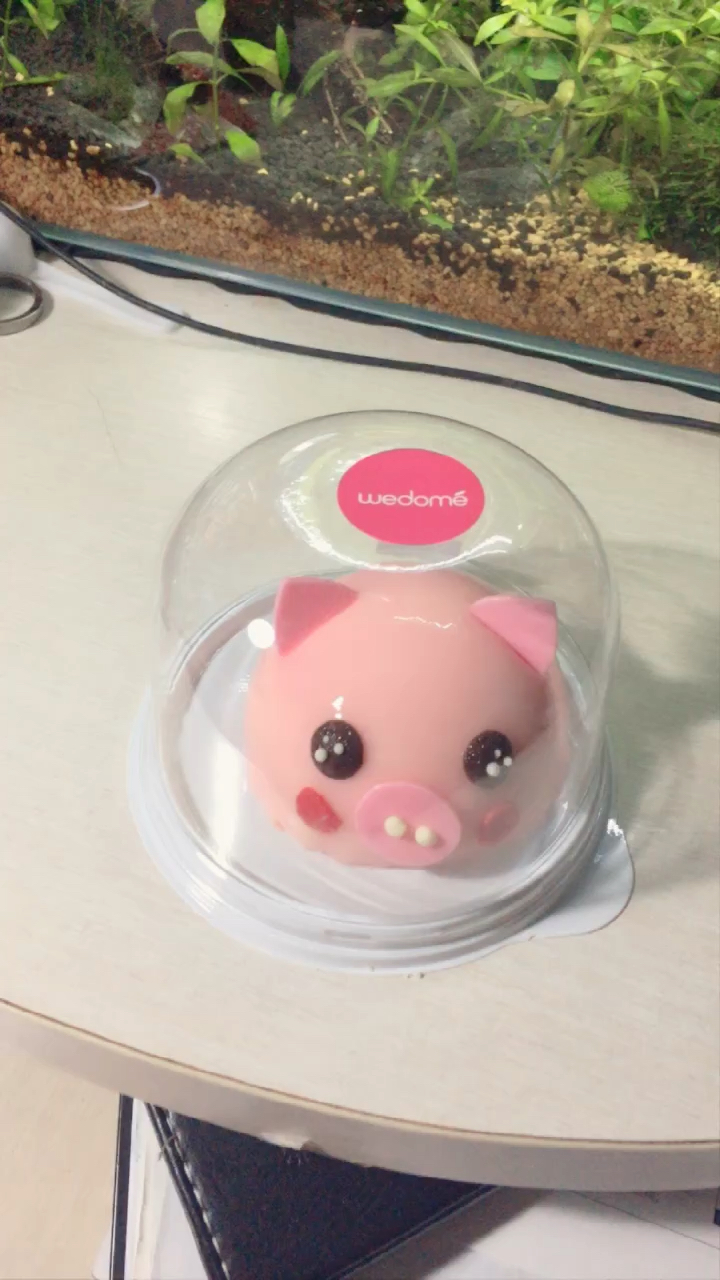 #全民晒年货#猪宝宝蛋糕