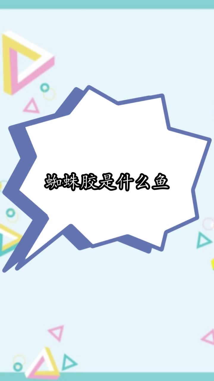 蜘蛛胶是什么鱼,你学会了吗
