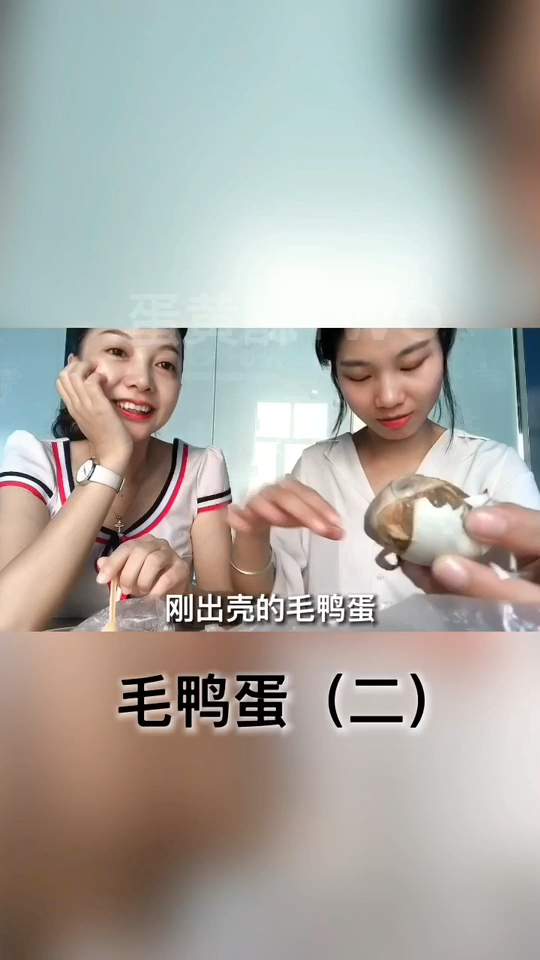 谁敢挑战我们,吃准备孵化的小鸭,喜欢的朋友可以关注哟!