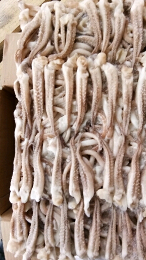 #我的私藏景点#超市专供系列