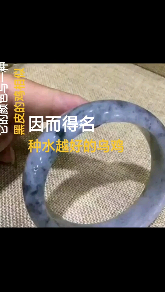翡翠乌鸡种