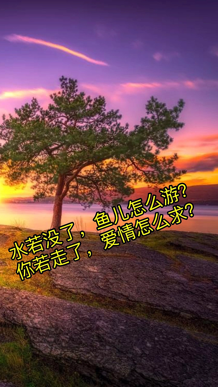 #青春#水若没了,鱼儿怎么游?