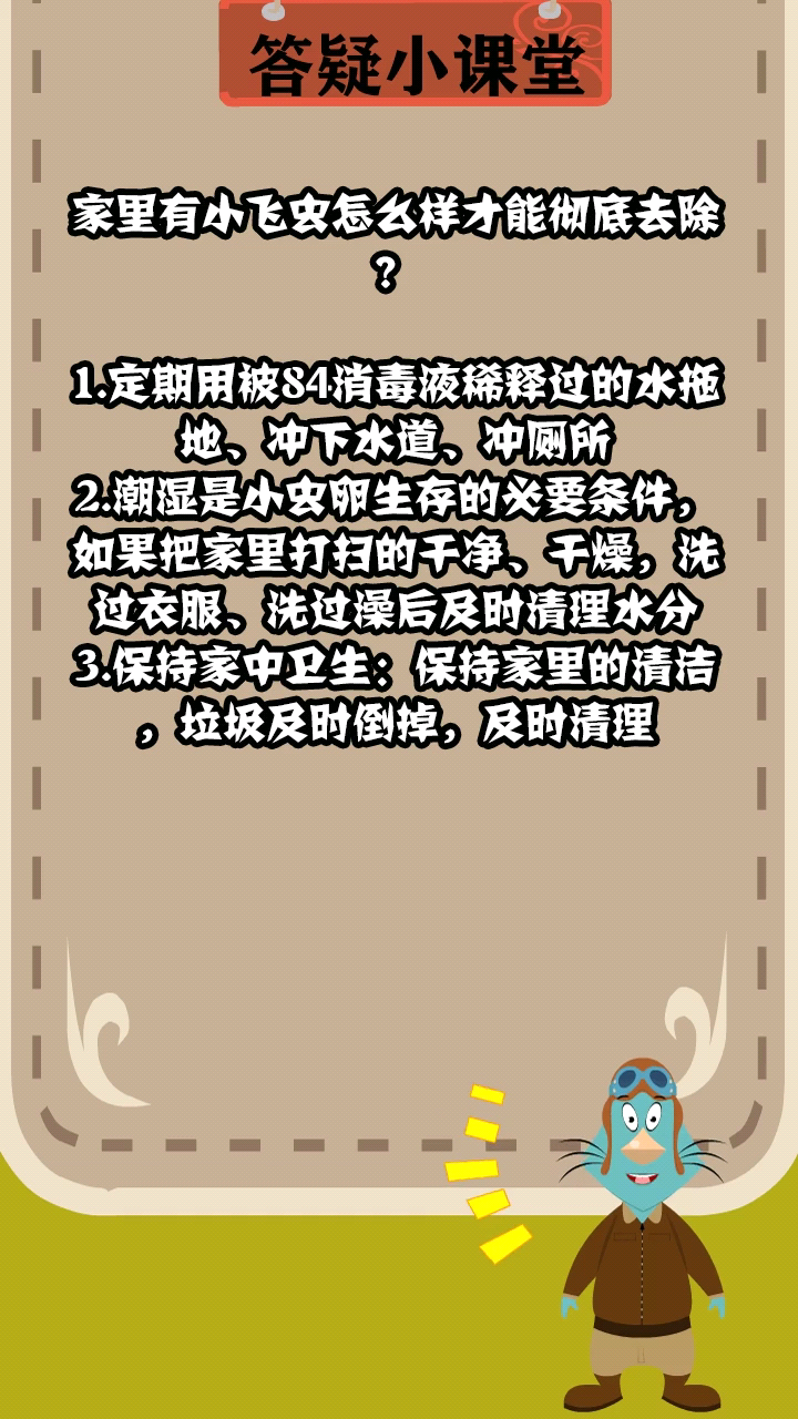家里有小飞虫怎么样才能彻底去除?