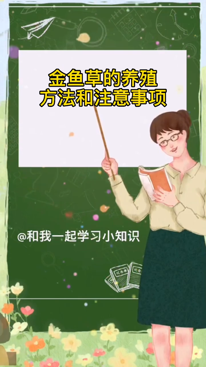 金鱼草的养殖方法和注意事项。