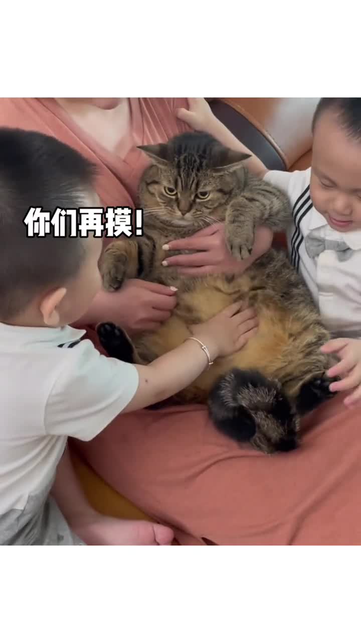 小猫咪与双胞胎人类幼崽