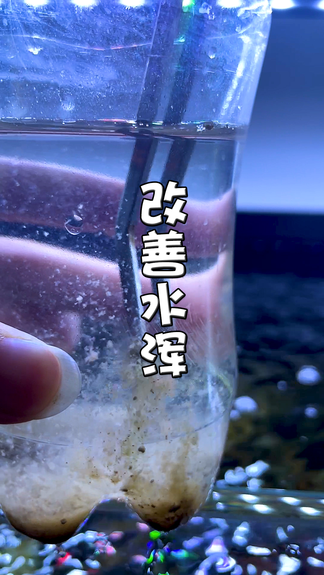 #鱼缸#鱼缸水浑真不算什么事儿~