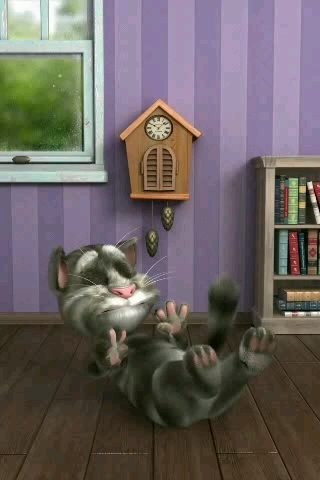 会说话的汤姆猫