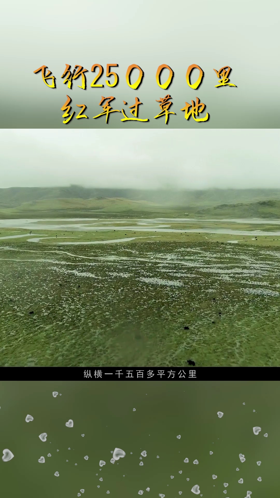 #带上全民去旅行#飞行25000里,红军过草地,吃完青稞吃野菜,挖完草根煮皮带