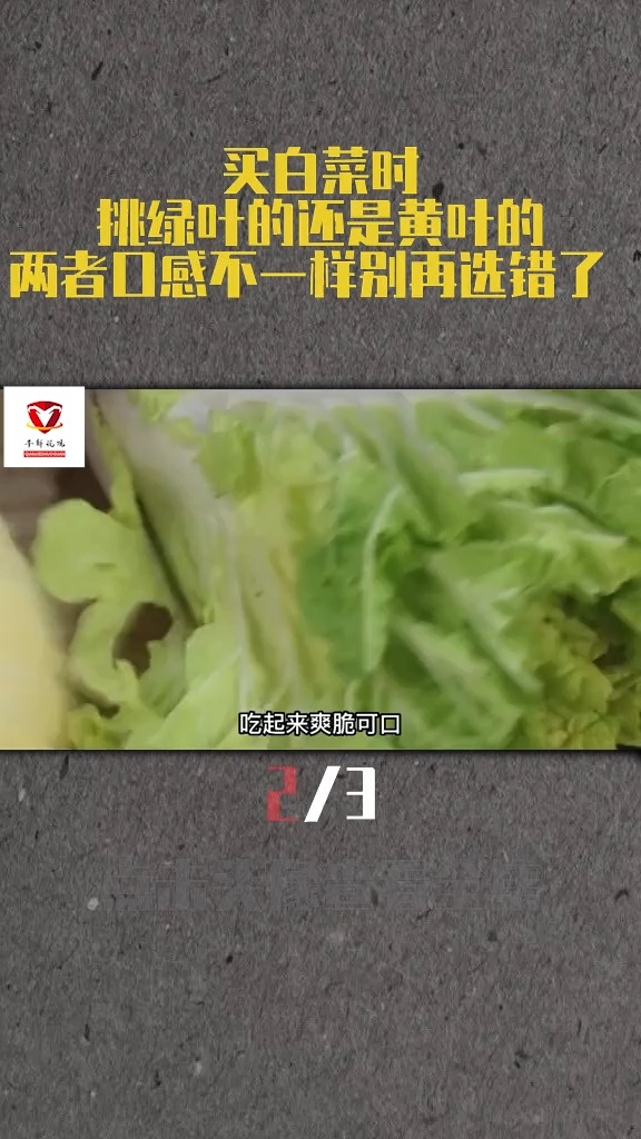 买白菜时,挑绿叶的还是黄叶的?两者口感不一样,别再选错了