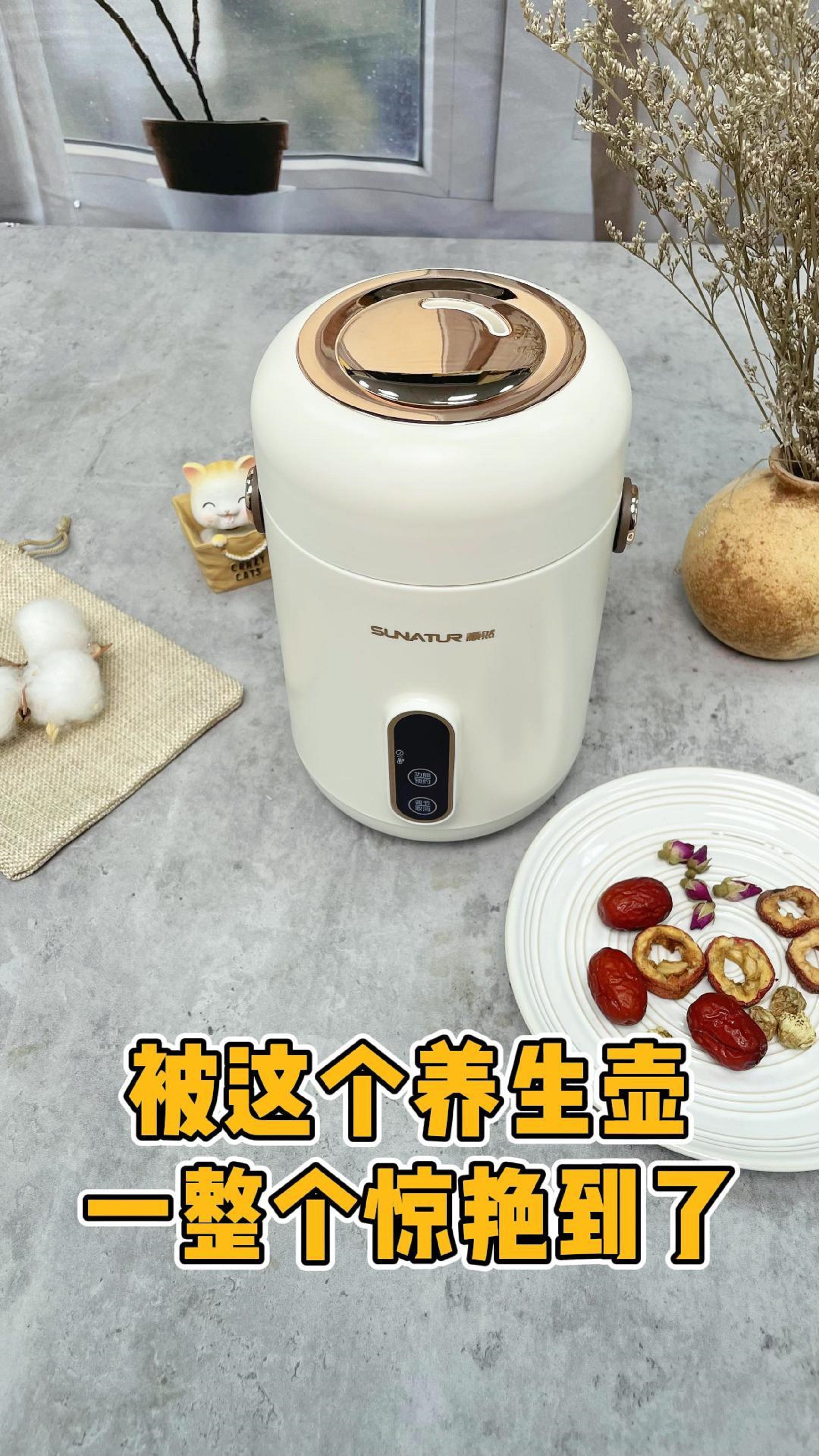 懒人必备的养生顺然电炖锅
