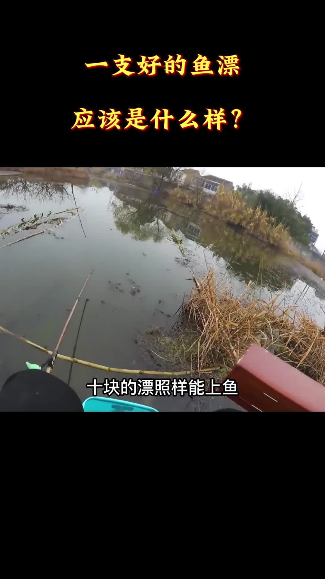 一支好的鱼漂,应该是什么样?