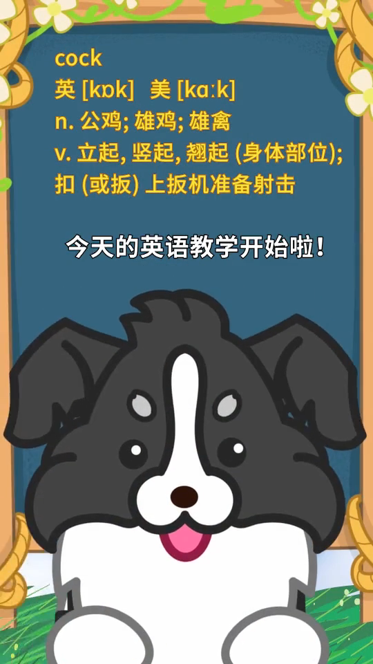 一起来学习公鸡英语怎么读