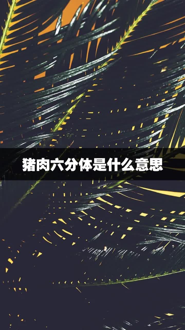 猪肉六分体是什么意思