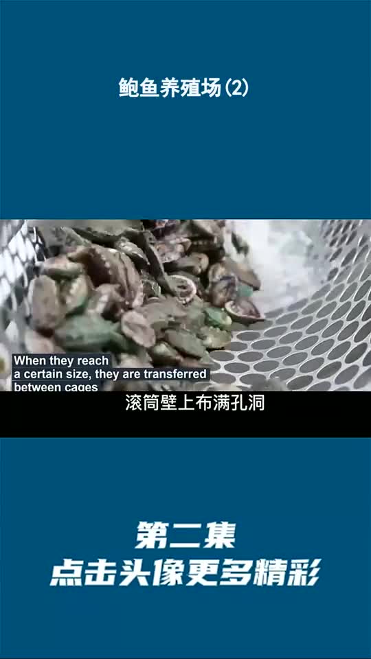 鲍鱼养殖场(2)