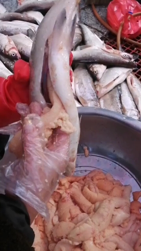 #立冬#兔子鱼子香而不腥，营养价值极高