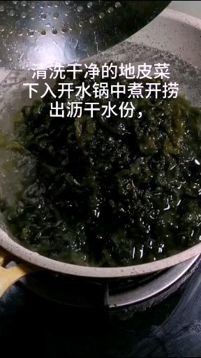 地皮菜炒鸡蛋,非常好吃的一道野菜,你吃过吗?