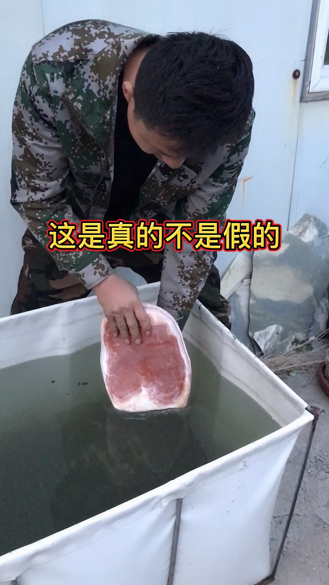 姜太公钓鱼,下一句是什么