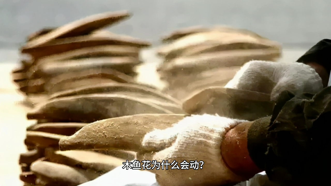 木鱼花为什么会动?