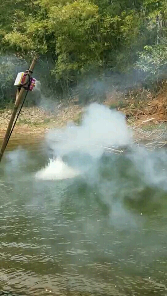 放炮炸鱼