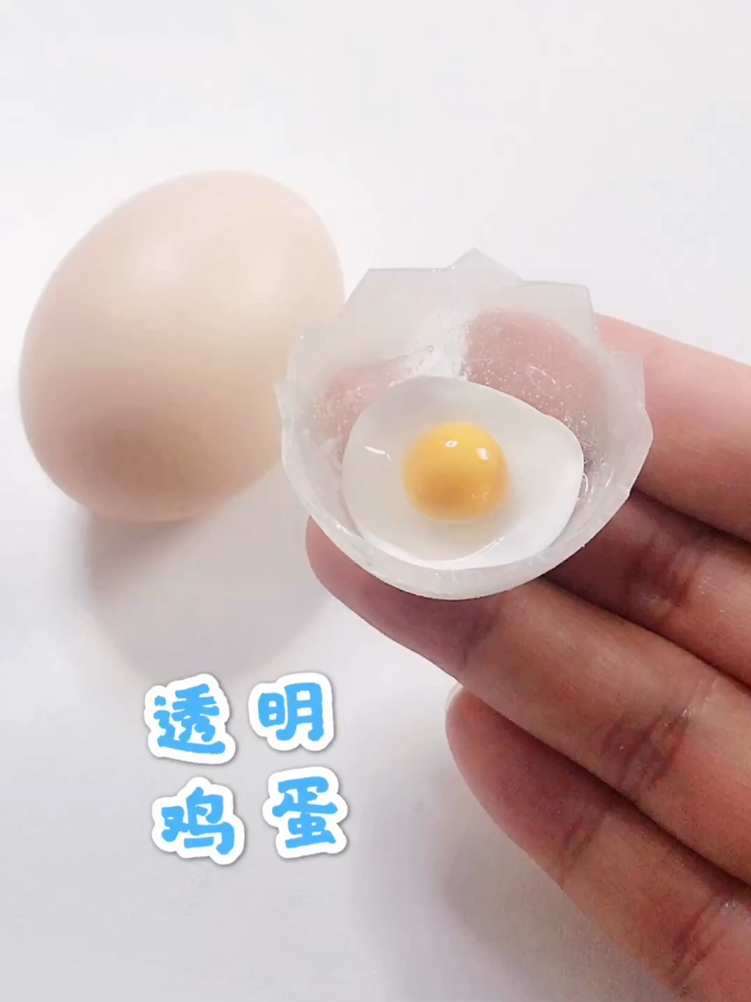 做个透明小鸡蛋