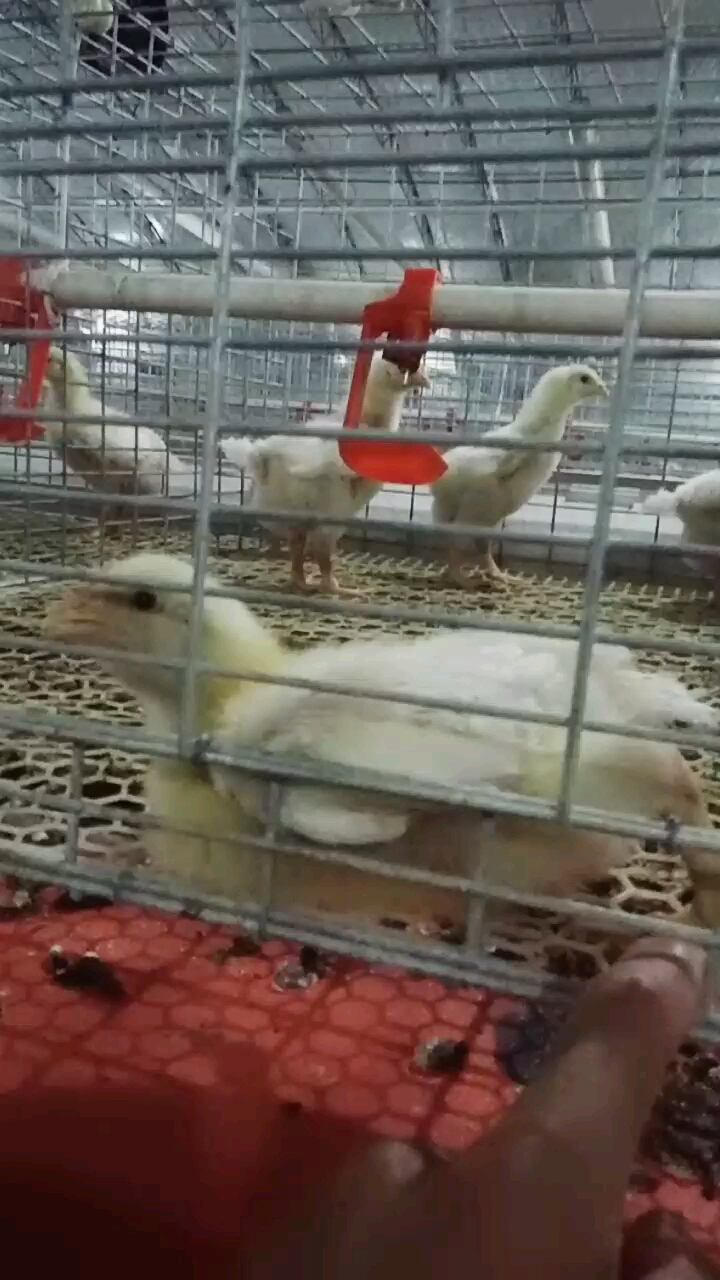 突然…发生了什么……………