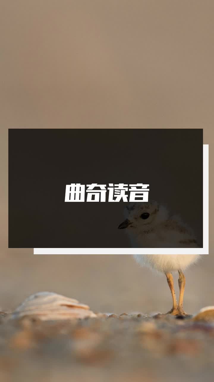曲奇读音