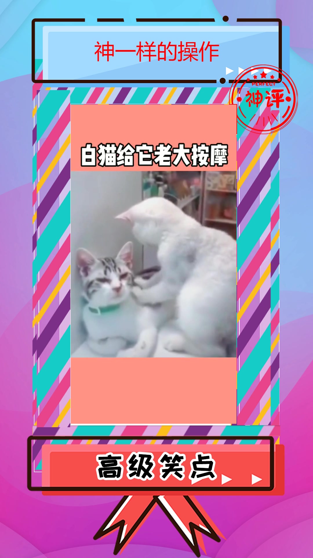 #我要上热门#白鹿做的蛋糕被邢昭林嘲讽难吃,被美女踩脚了