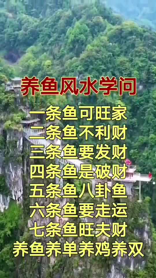 送给亲爱的朋友们,人生的感悟,你想明白了吗