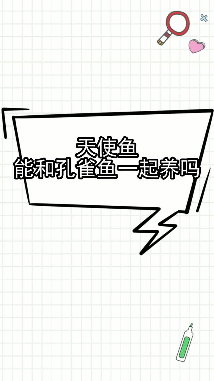 天使鱼能和孔雀鱼一起养吗,你掌握了吗