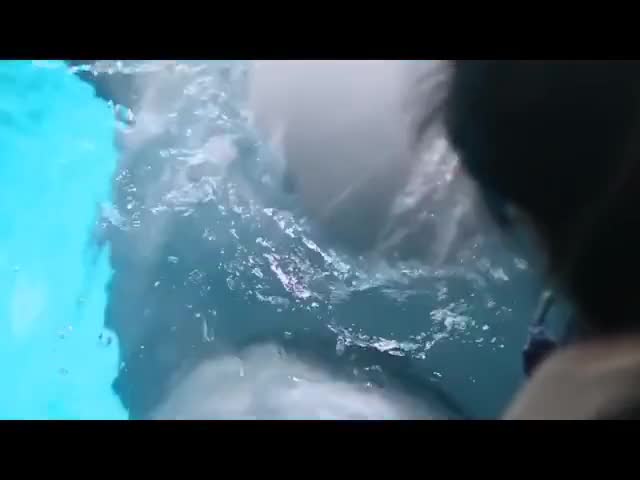 波妞喜欢宗介,我喜欢鲸鱼。#波妞