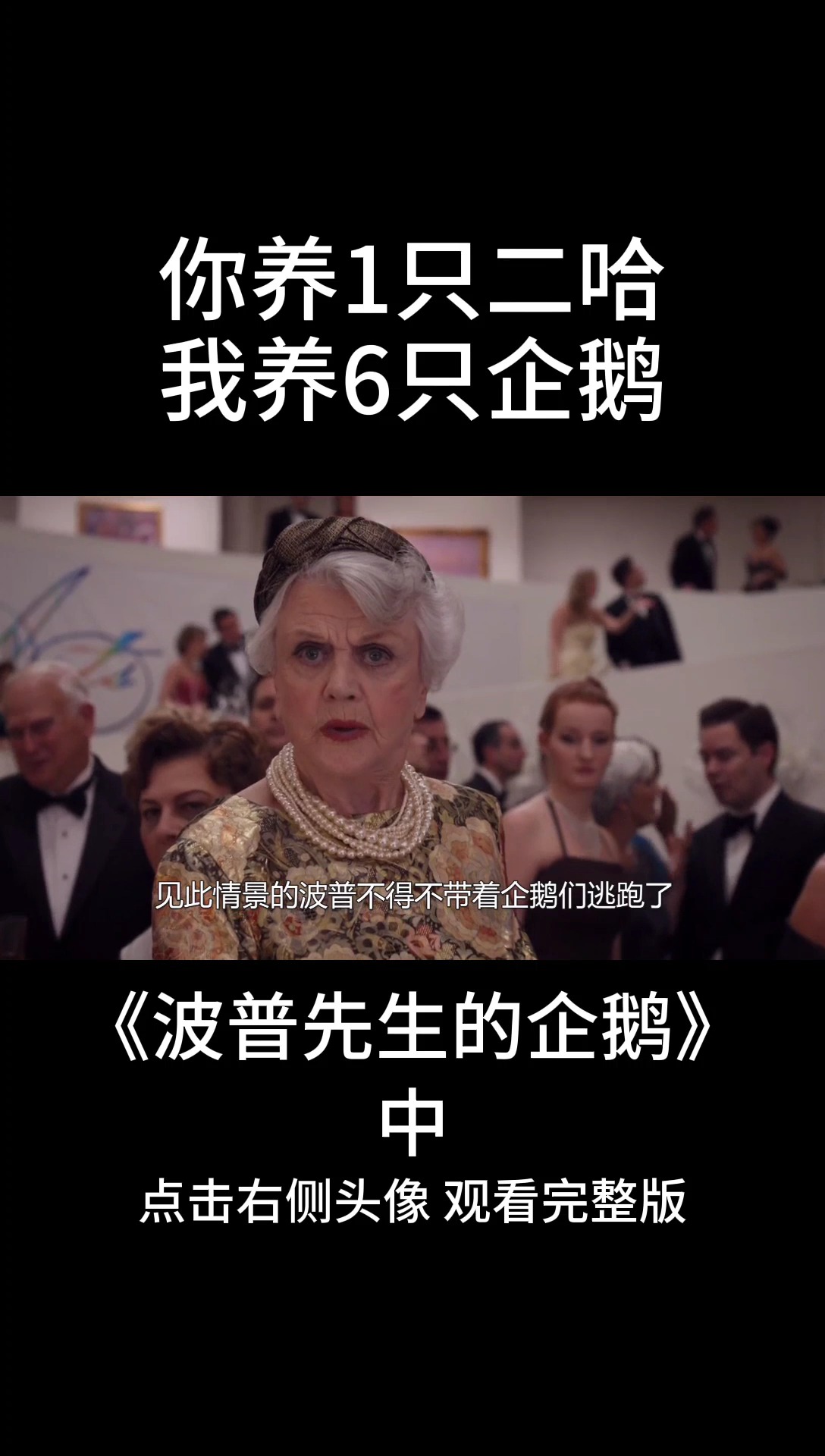 我想用六只企鹅跟你换一只拆家的二哈