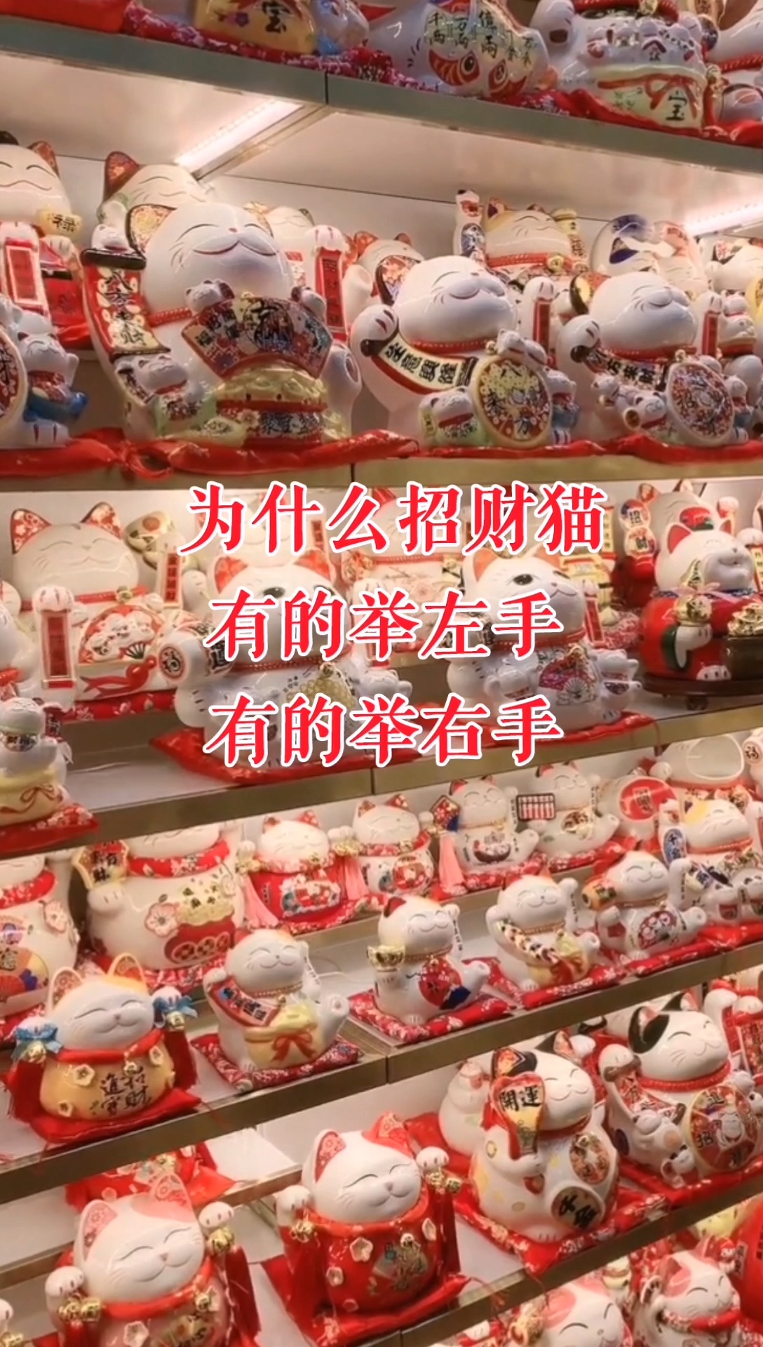 为什么招财猫,有的举左手有的举右手?有什么区别吗?