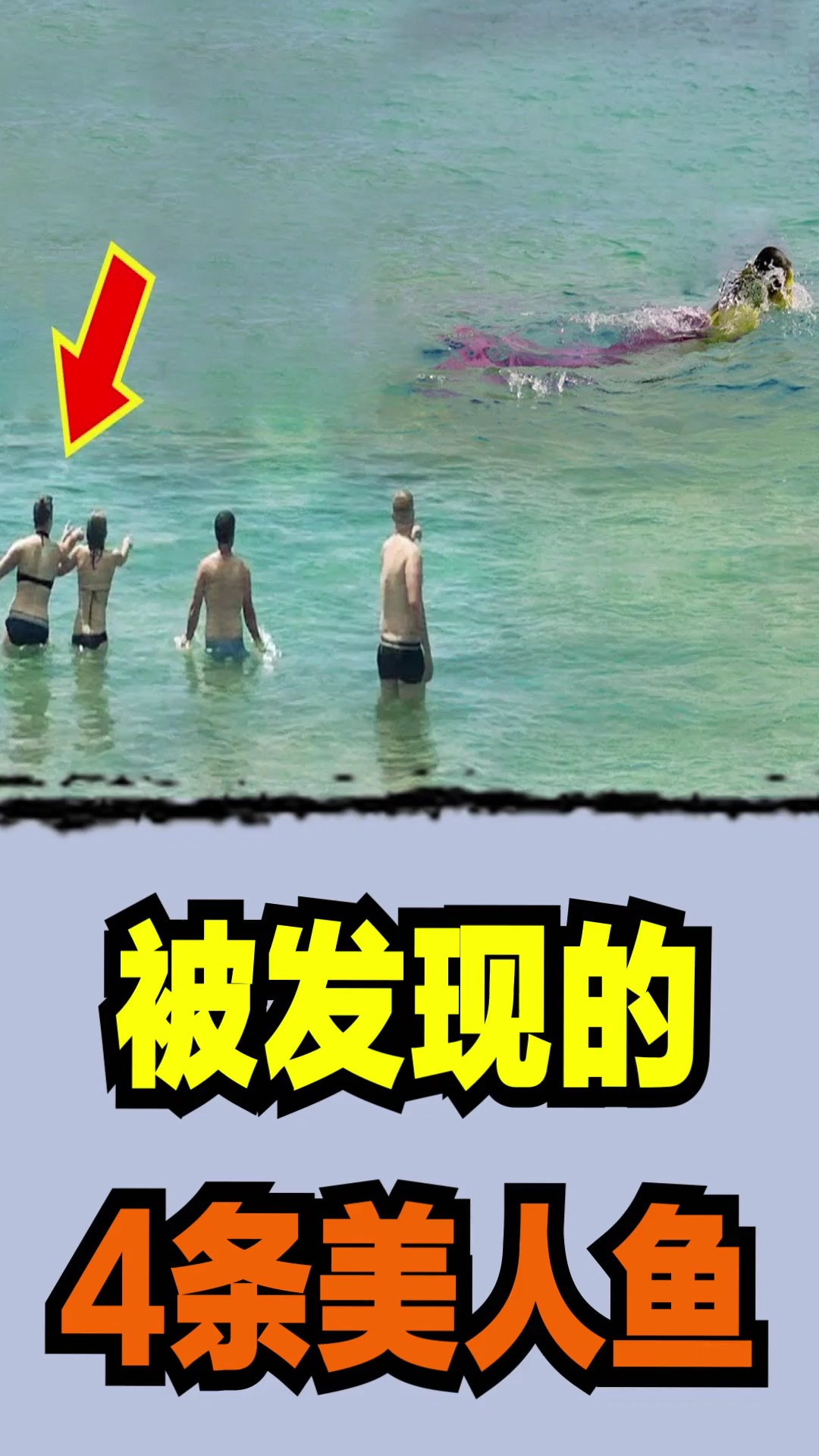 #美人鱼#被发现的4条美人鱼